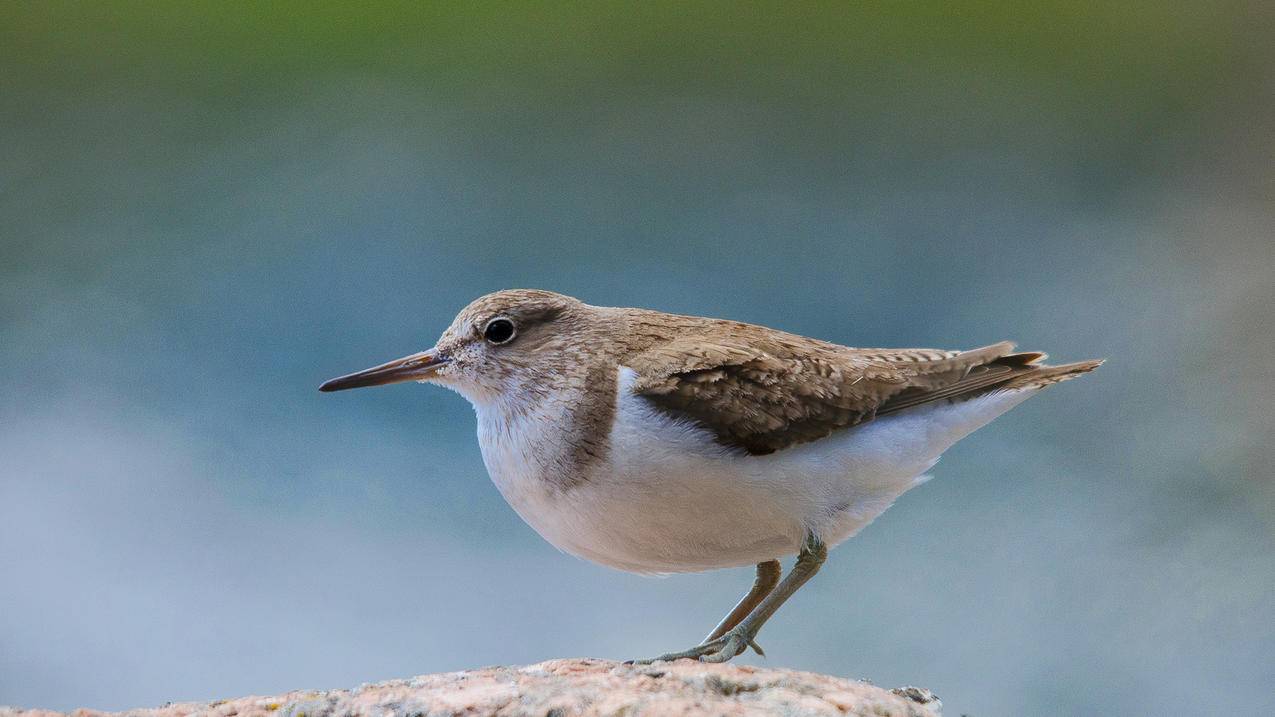 ins头像女生韩系动漫沙雕_韩系ins风女生头像动漫 - INS相关 - 55dz账号网