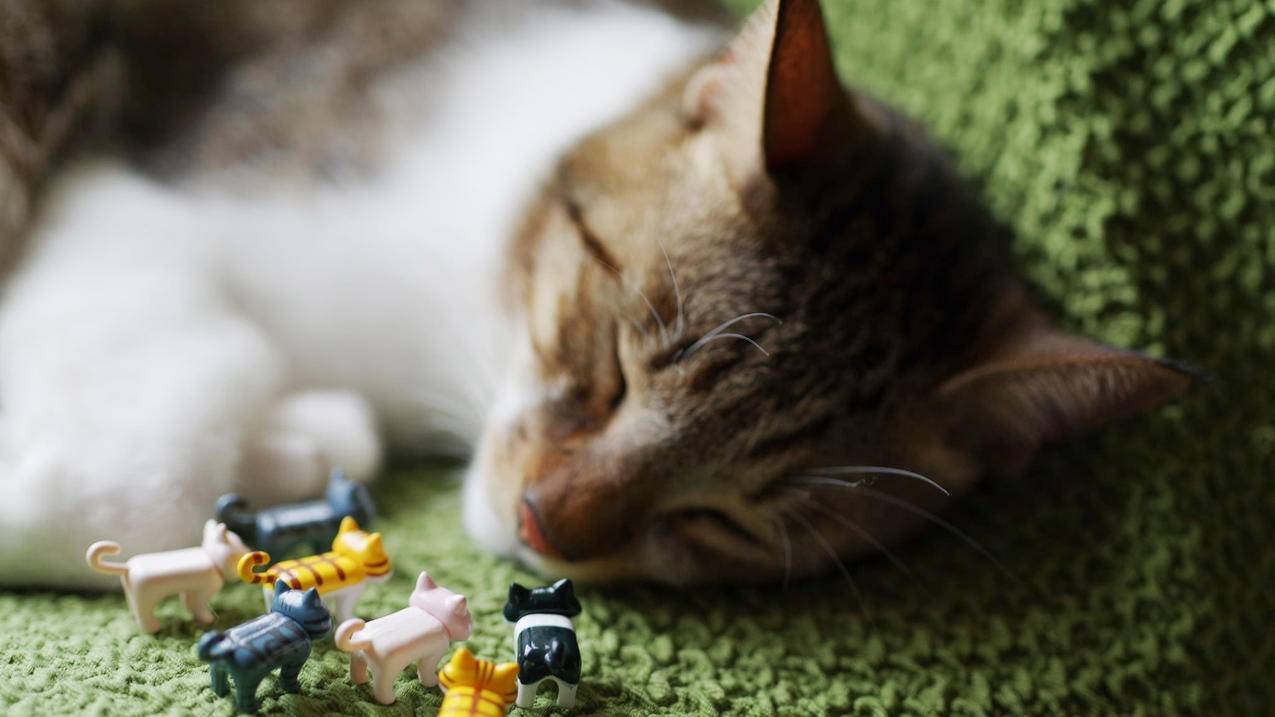 抖音灯牌亲密度怎么看呢?  ( 抖音亲密度在哪里看? ) - 55dz账号网