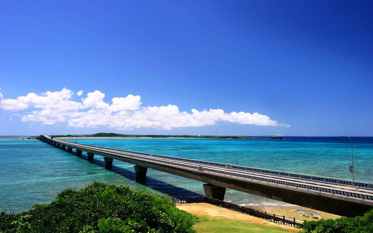 怎么设置苹果ID的账号和密码 ， 免费的苹果id账号是多少?  - 55dz账号网