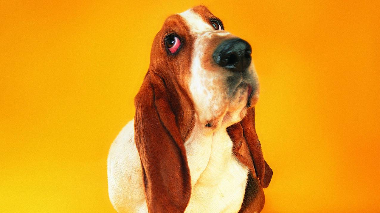 时间币2022最新版本下载_2022人民币 - messenger相关 - 55dz账号网