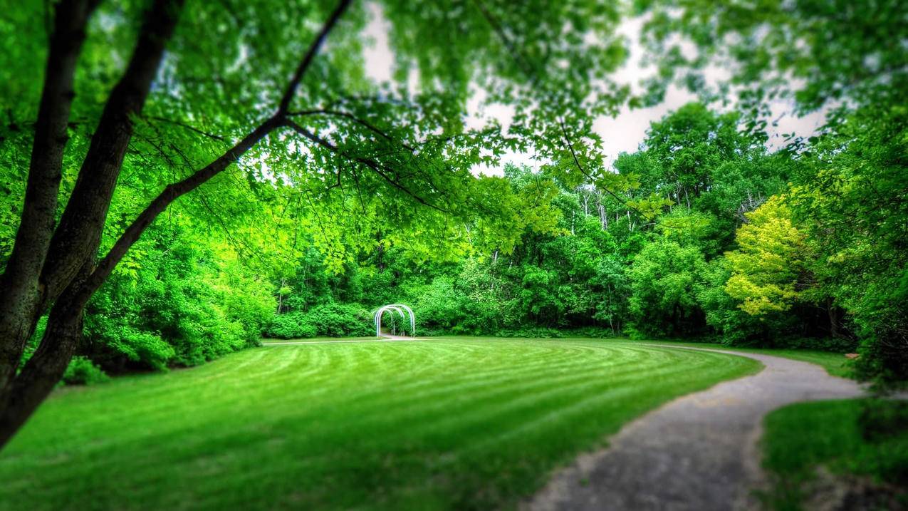 tiktok国际版无法连接网络_tiktok国际版下载安卓咋连不上网络? - 苹果APP下载 - 55dz账号网