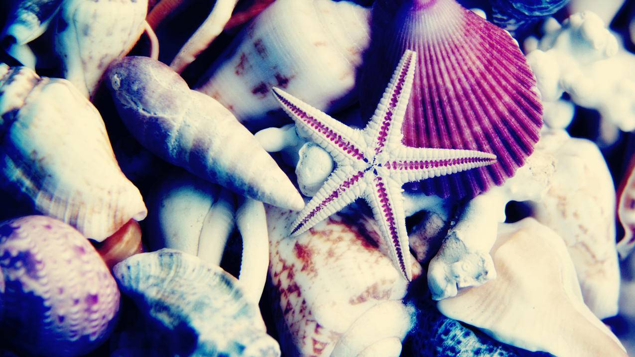 推特凡哥改名  ( 推特账号怎么改名字? ) - 55dz账号网