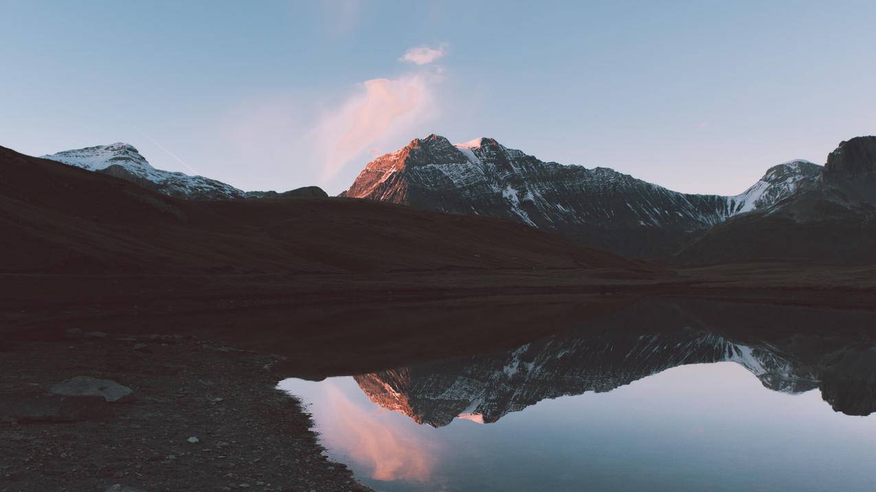 tiktok简体中文版_tiktok原版下载 - tiktok相关 - 55dz账号网