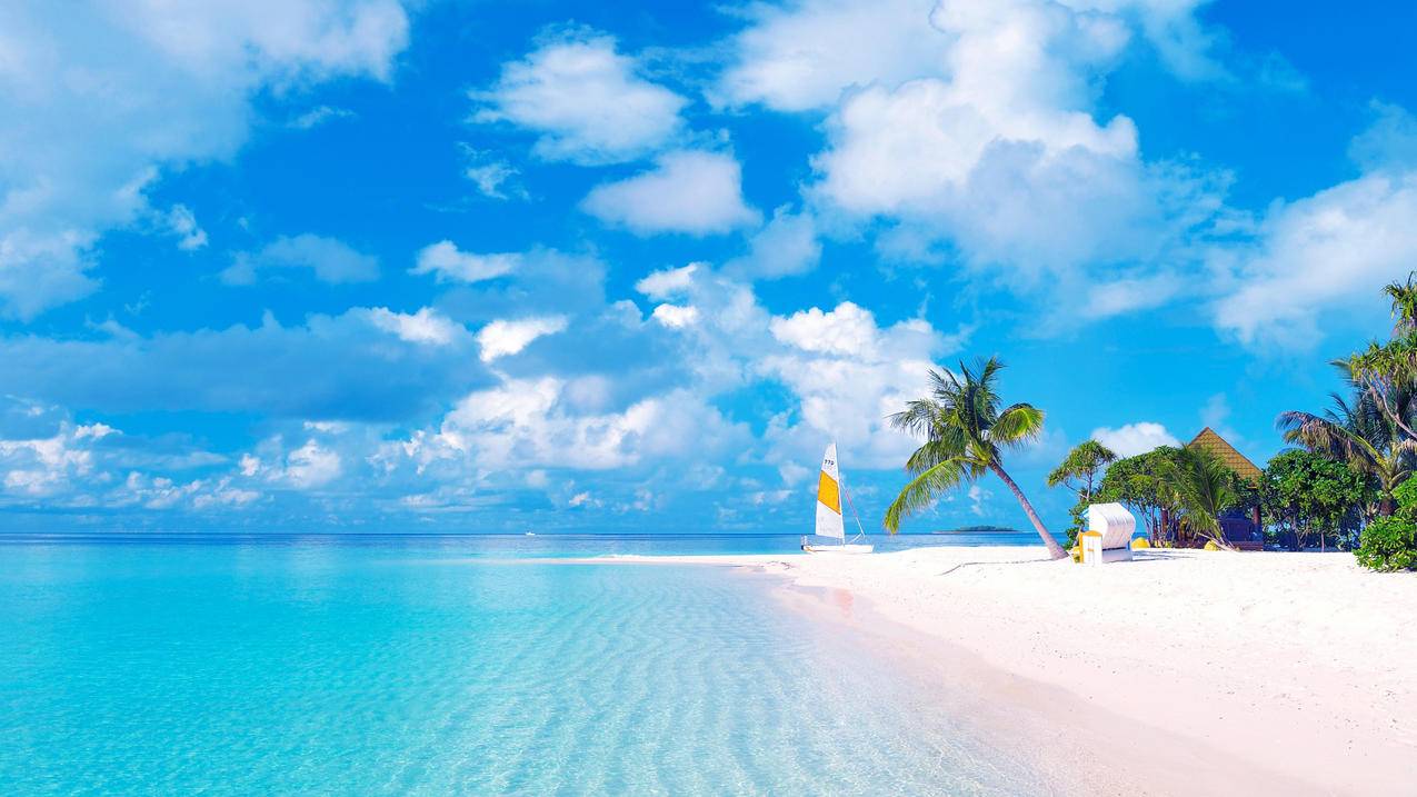 拼多多砍价怎么分享盗qq群-dy业务网