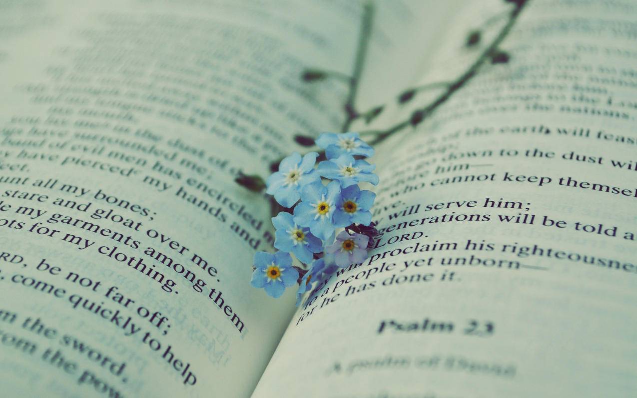 抖音海外版tiktok用什么加速器_国外抖音tiktok怎么下 - 苹果APP下载 - 55dz账号网