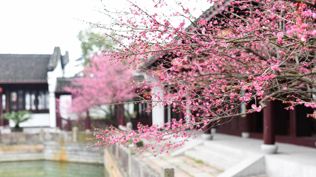 苹果手机怎么登陆国外的app账号?  ( 苹果手机怎么登录不了app怎么回事啊!? ) - 55dz账号网