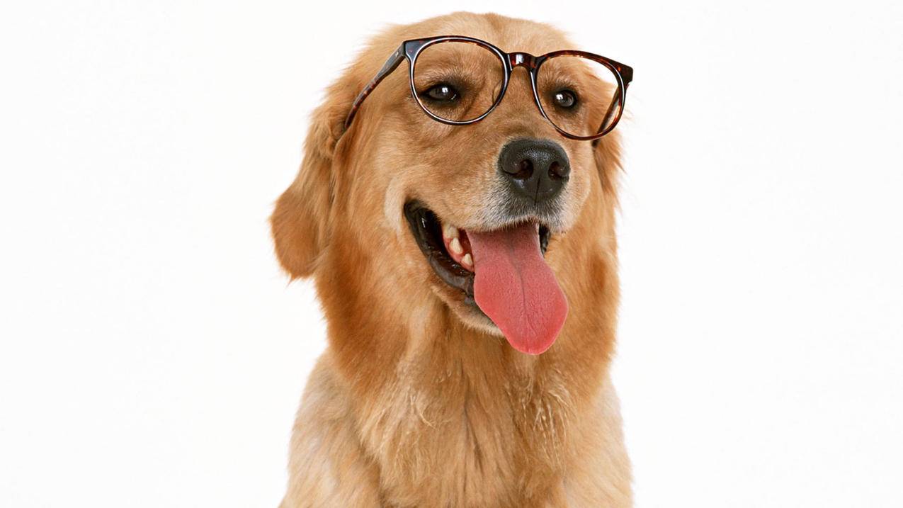 tiktok游戏推广平台_tiktaktok游戏 - tiktok相关 - 55dz账号网