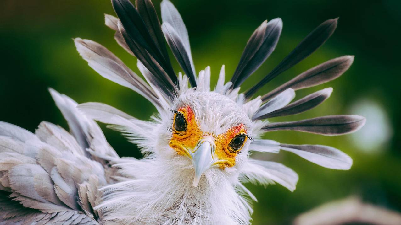 抖音代刷粉-快手自助下载平台24小时,抖音快手刷赞精灵,有赞抖音快手