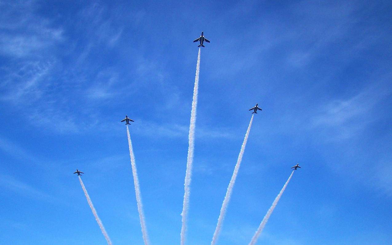 tiktok北美业务_tiktok 北美 - tiktok相关 - 55dz账号网