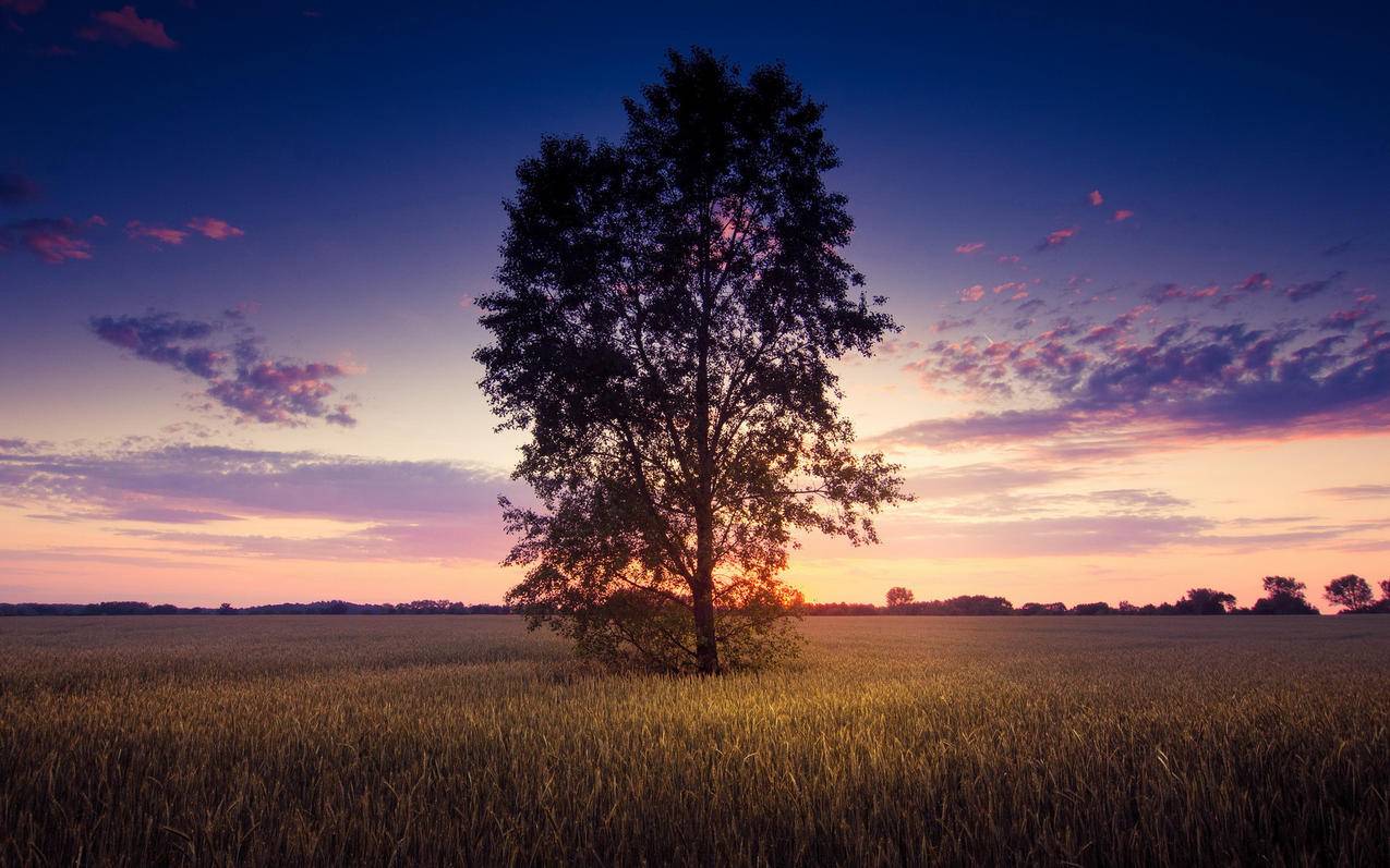如何在小红书领取优惠券？ - 网络资讯 - ks业务下单