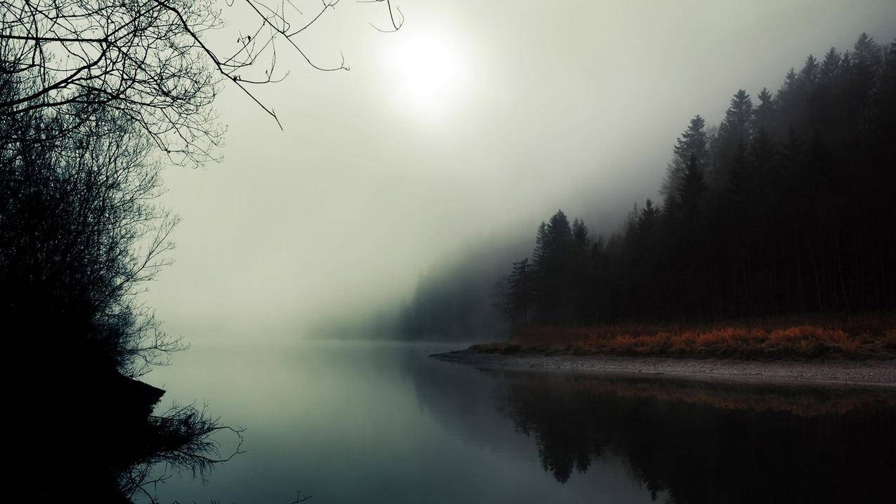 苹果手机备份的照片怎么恢复到手机上 ， icloud备份怎么恢复到新手机 ?恢复失败怎么操作?  - 55dz账号网