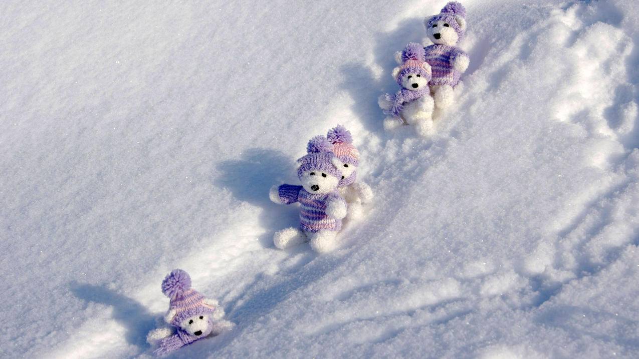 注册google账号手机号无法验证_google账号注册为什么手机号不能验证 - google相关 - 55dz账号网