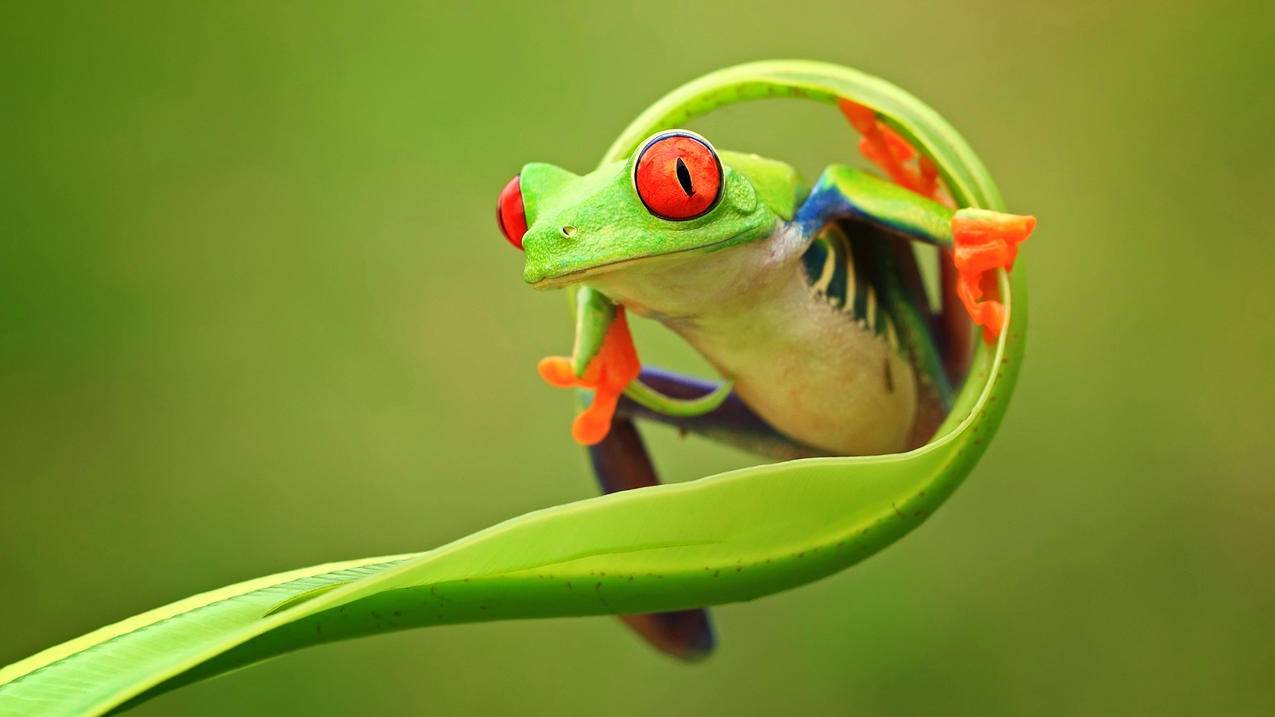 香港appleid注销了但是没有退出怎么办_苹果id只有退出没有注销 - 香港苹果ID - 55dz账号网