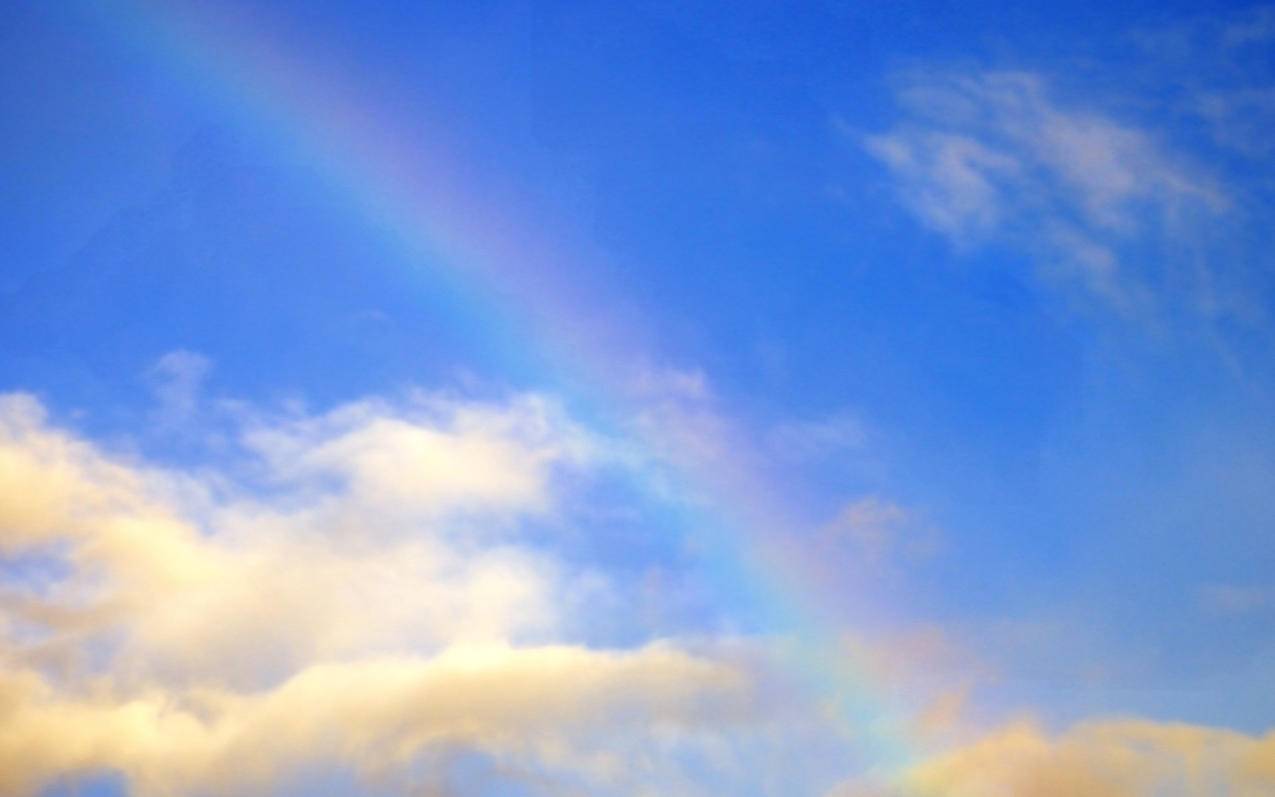 千川计划衰退如何承接？ - 低价业务 - dy业务网