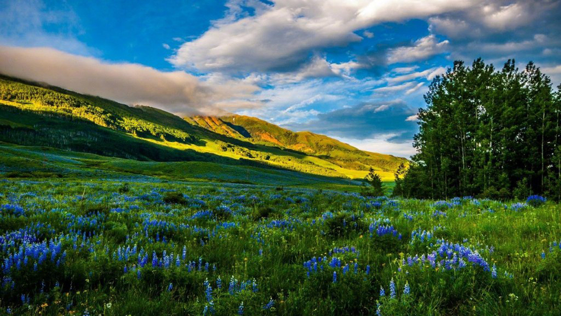 苹果id密码是多少位数_苹果id密码是多少位数的 - 美国苹果ID - 55dz账号网