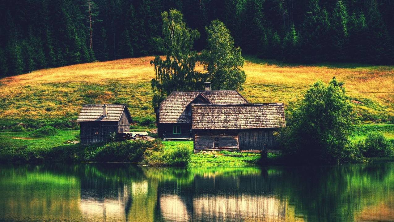 快手刷粉丝网站-卡盟代刷网抖音