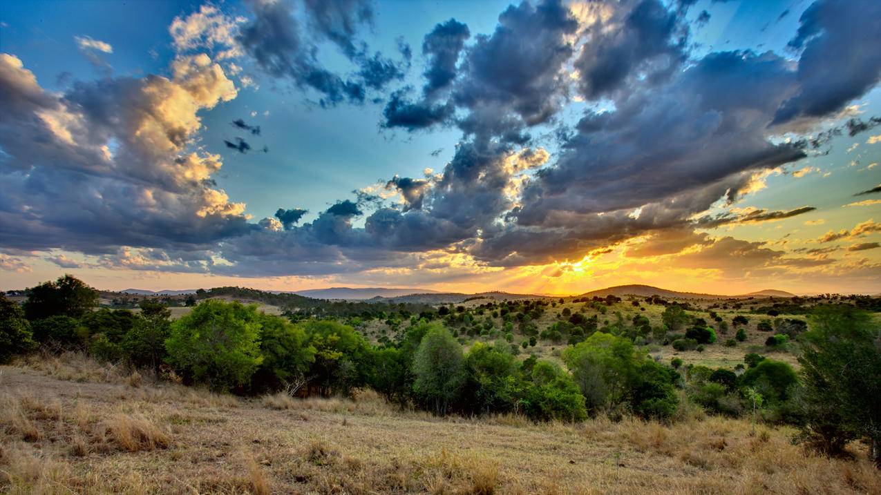 火影忍者online忍者考试95关_火影忍者ol99关忍考 - Line相关 - 55dz账号网