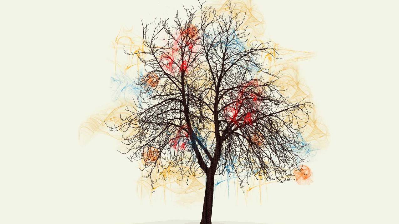 LOL美服下载教程_英雄联盟美服下载教程 - 美国苹果ID - 55dz账号网