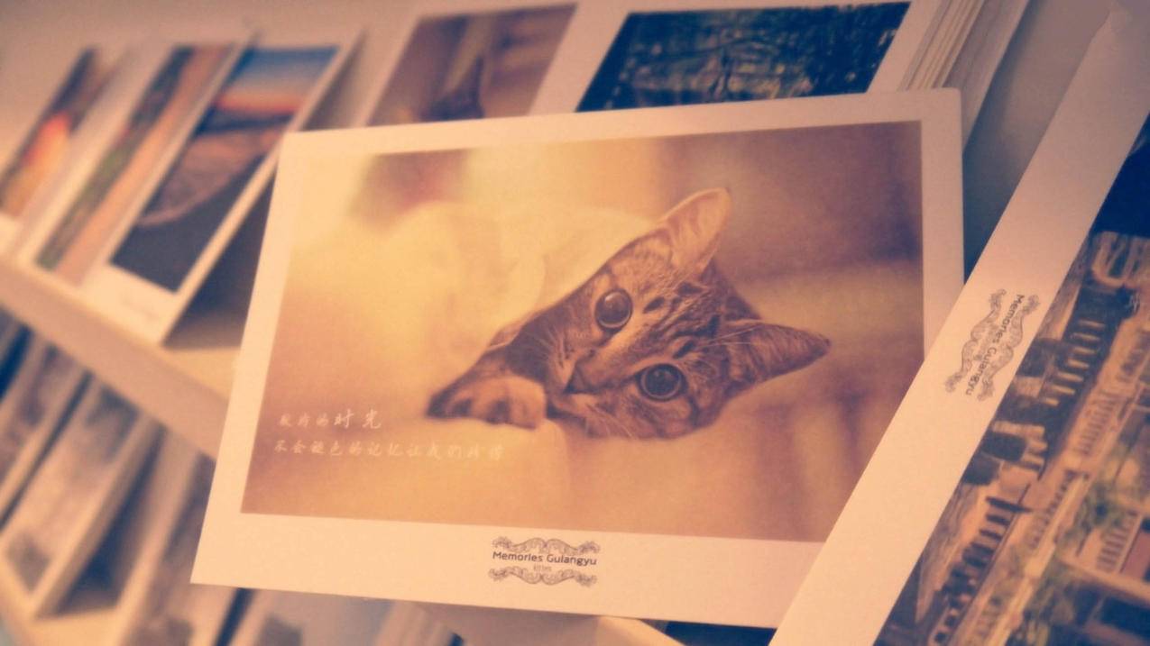 新版电脑爱奇艺的弹幕滑块不见了_电脑爱奇艺弹幕突然没有了 - 新闻中心 - 55dz账号网