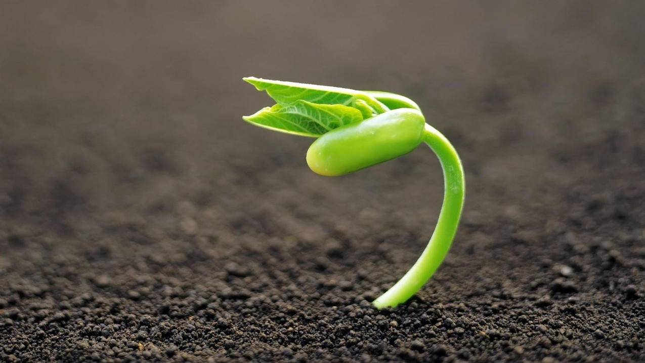 账户详情不可用台湾苹果id_台湾账号付款方式没有无 - 台湾苹果ID - 55dz账号网