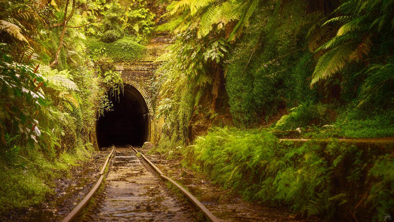 appleid注册官网_appleid注册官网登录 - 各区苹果ID - 55dz账号网