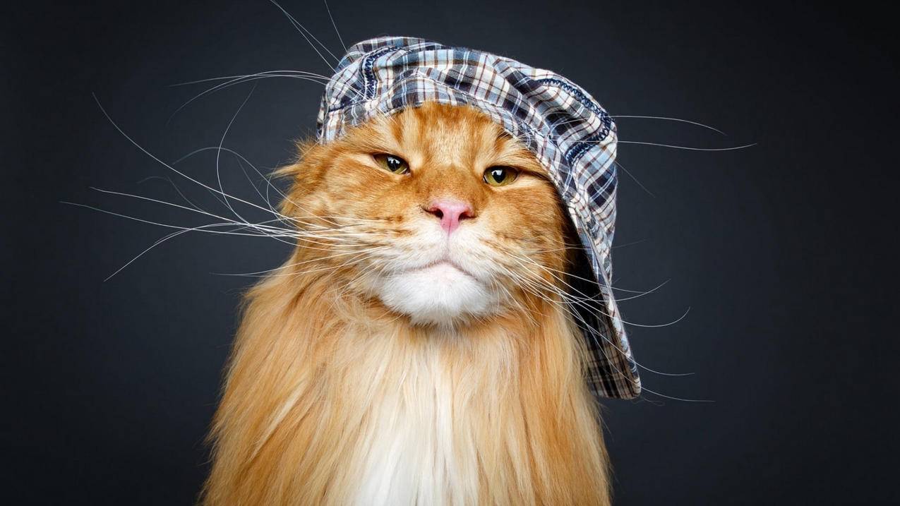 qq刷赞0.1元1000个赞 - 全网最低价刷点赞快手,qq刷赞网免费,唱吧刷人气qq