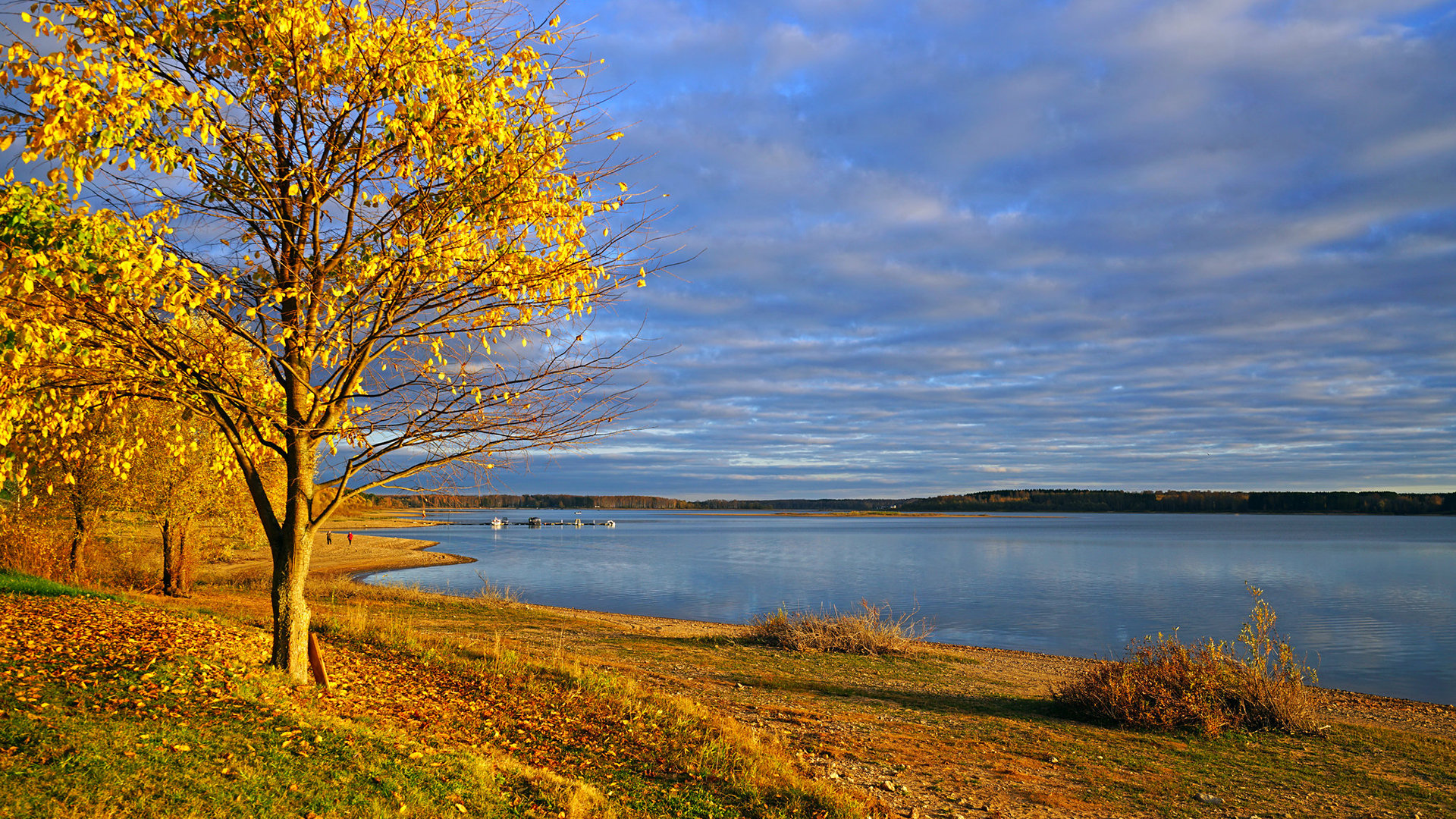 小火箭节点怎么找_小火箭节点在哪找 - 注册外服方法 - 55dz账号网