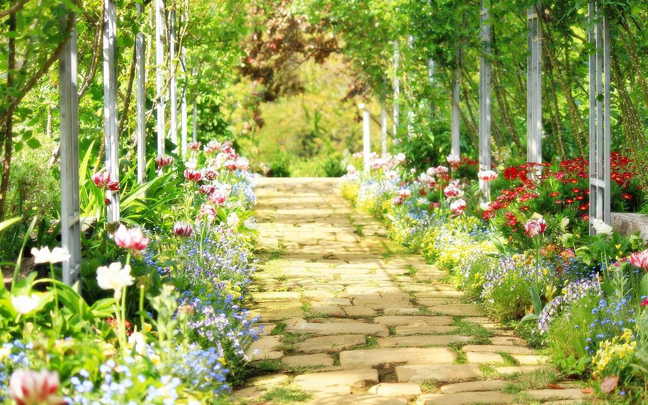 同一个美国苹果id通讯录不共享_苹果同个id通讯录怎样不共享 - 美国苹果ID - 55dz账号网