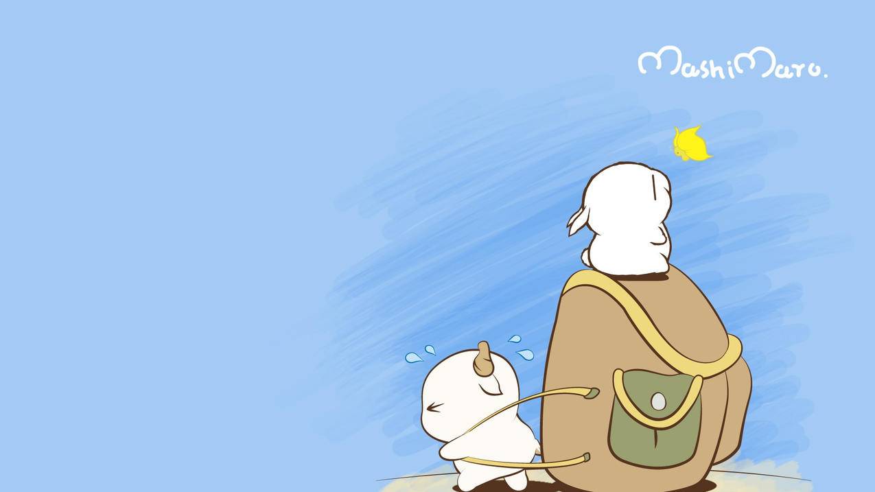 苹果id共用可以看见相册里的照片吗_共用一个苹果id会看到照片吗 - 美国苹果ID - 55dz账号网