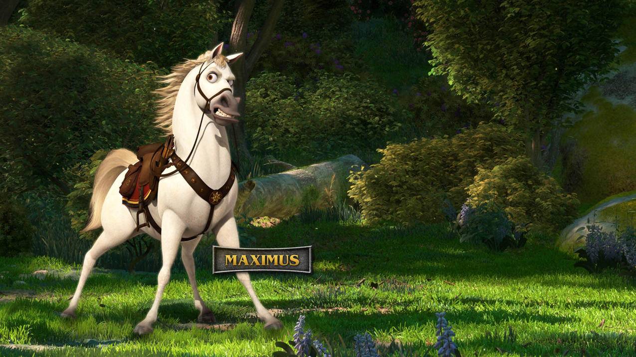 ins怎么关推荐帖子_ins怎么关闭推荐的帖子 - INS相关 - 55dz账号网