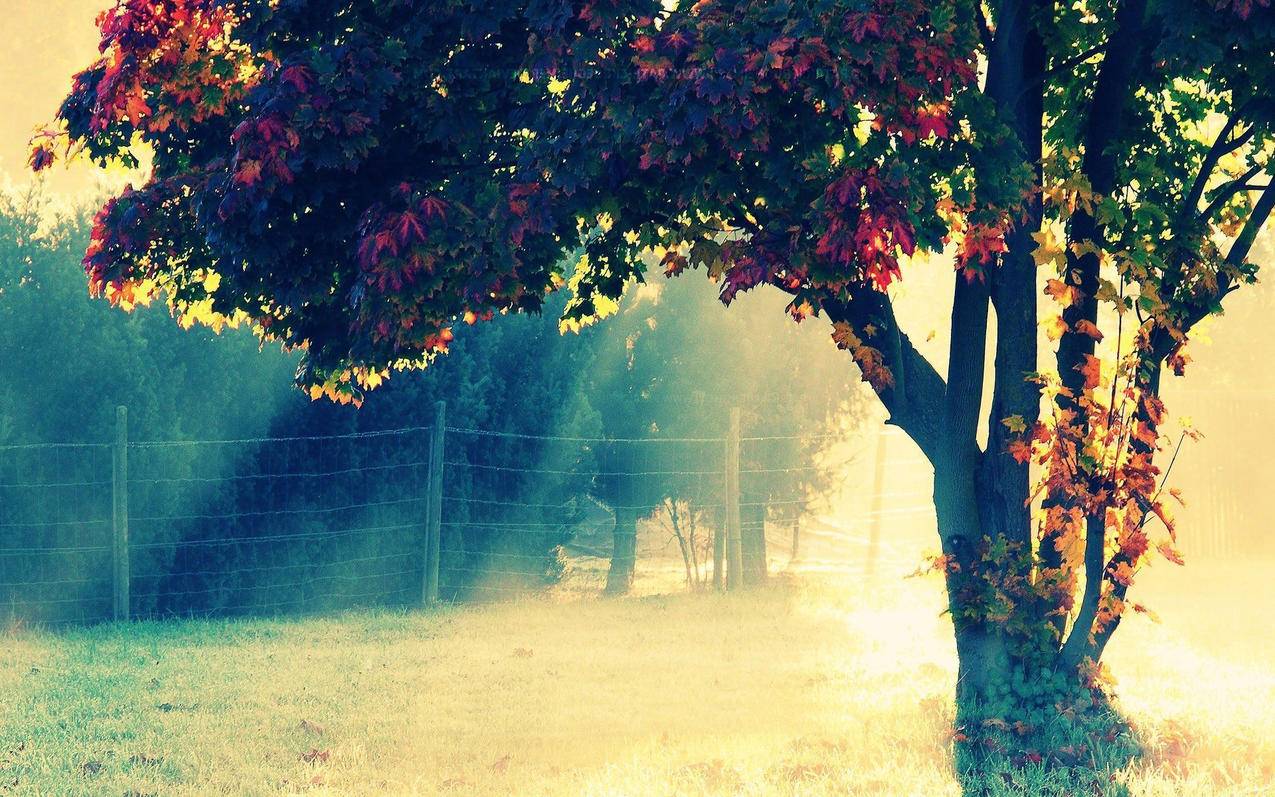 液压方向机怎么接油管PORL_液压方向机怎么接油管PORL - youtube相关 - 55dz账号网