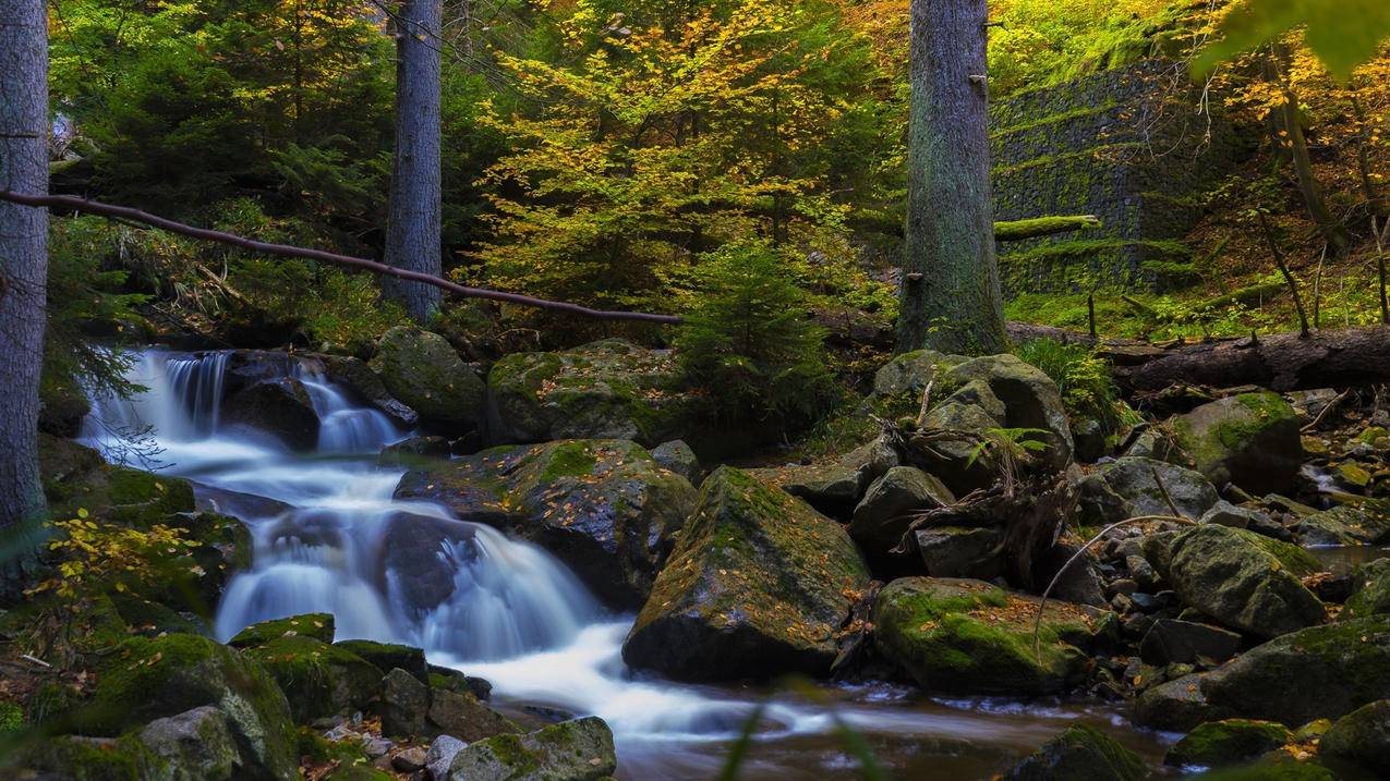 苹果应用商店没法下载软件,一键修改AppleID的地区位置 ， 同一个id的iphone定位怎么找不到他的位置  - 55dz账号网