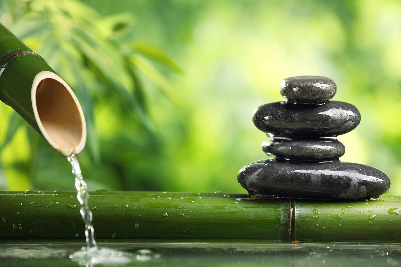 免费ssr节点_免费ssr节点分享2021 - 注册外服方法 - 55dz账号网