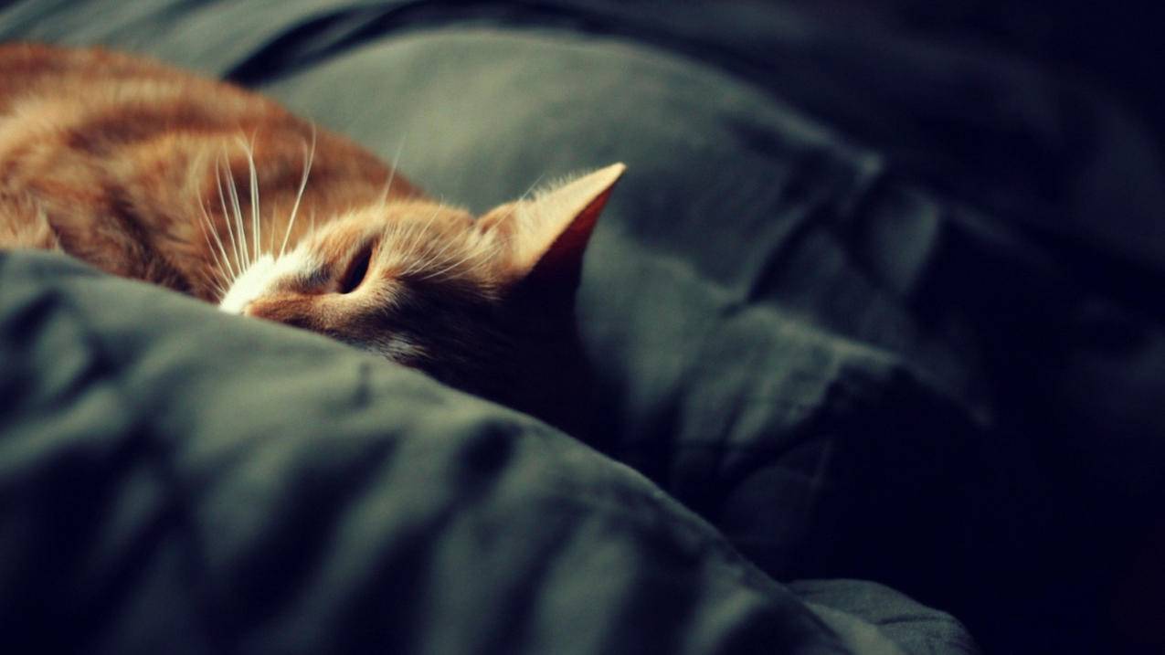 下载ins一定要加速器嘛_下载ins一定要加速器嘛苹果 - INS相关 - 55dz账号网