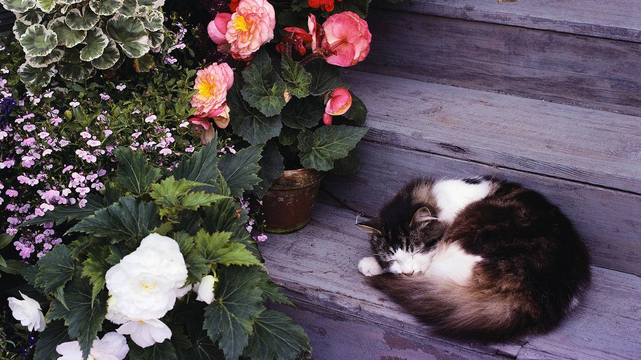 现代化词根词缀词尾_词根,词缀,词尾 - messenger相关 - 55dz账号网