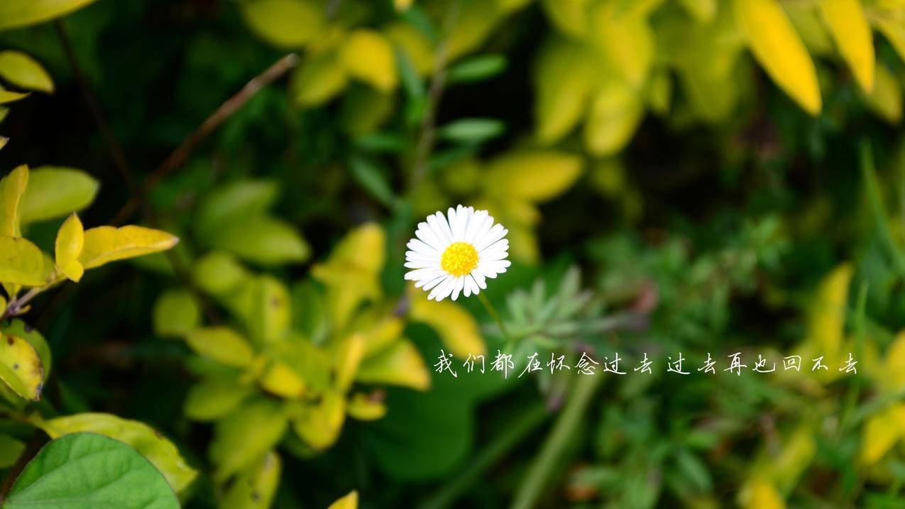 一个QQ邮箱可以注册几个苹果ID ， 可以用QQ邮箱注册苹果id吗?  - 55dz账号网