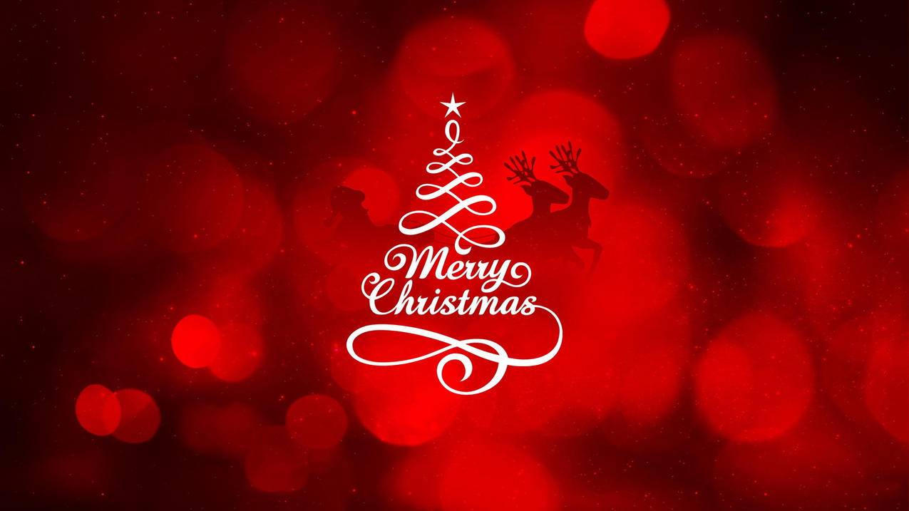 怎样更改apple id账号和密码 ， 苹果手机id密码忘记了怎么重置  - 55dz账号网