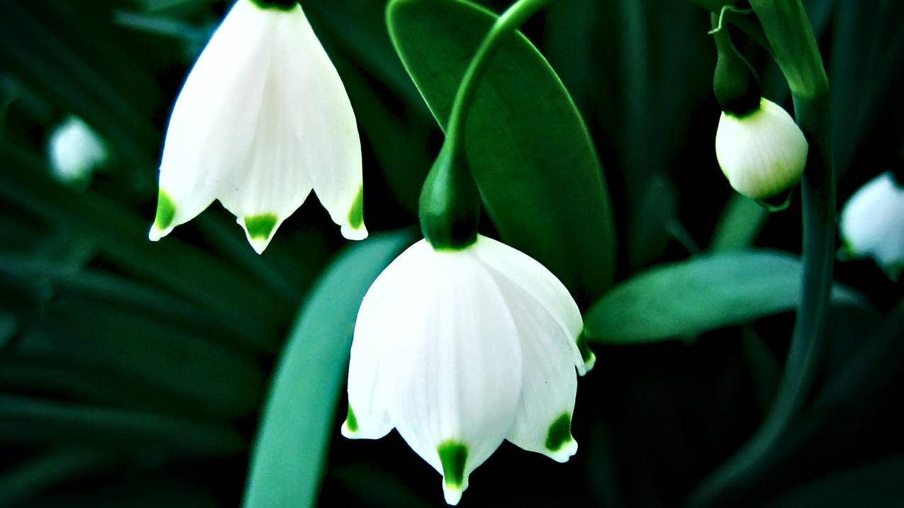 小学怎么提高数学做题速度 - 小学教育 - ks24小时自助