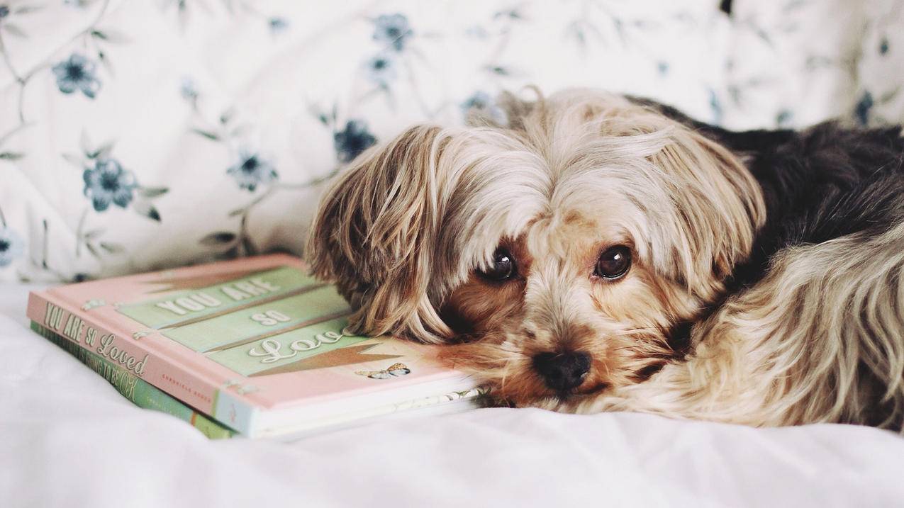 首饰展示架电商如何高效运营与推广？ - ks业务网 - ks业务下单