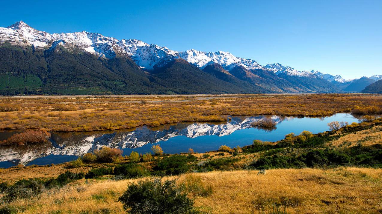 appleid请求账户恢复什么意思_apple id已请求账户恢复是什么意思 - Apple ID相关 - 55dz账号网