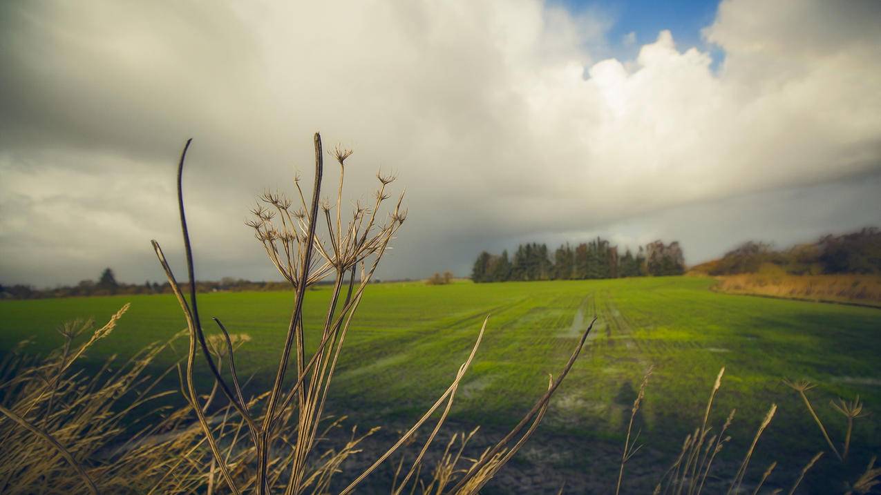 nba2k20谁扣篮厉害_nba2k20谁扣篮厉害分别在哪个队 - IOS分享 - 55dz账号网