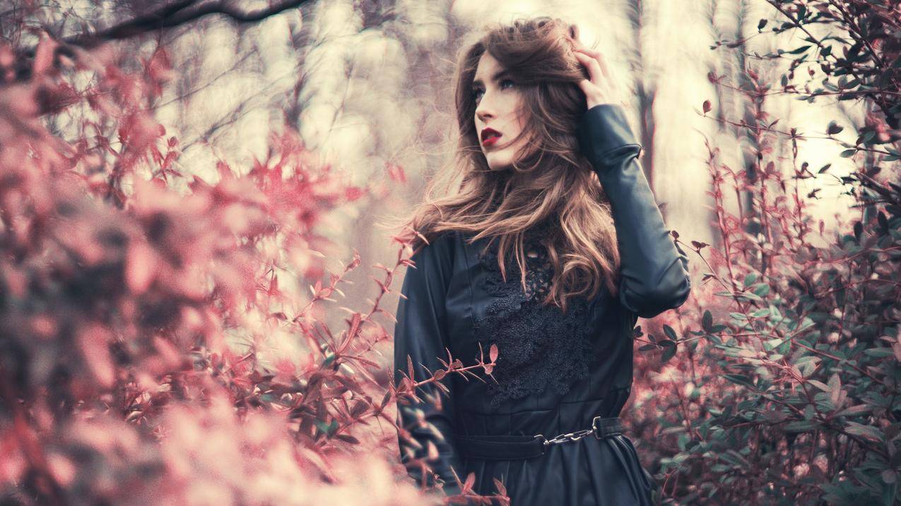 ipad怎么注销越南apple id（ipad如何取消越狱） - 各区苹果ID - 55dz账号网