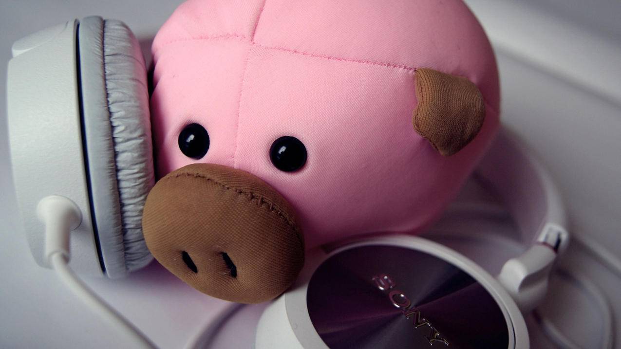 苹果ipad登录不了apple id怎么回事? ， 苹果手机为什么登陆不了id  - 55dz账号网