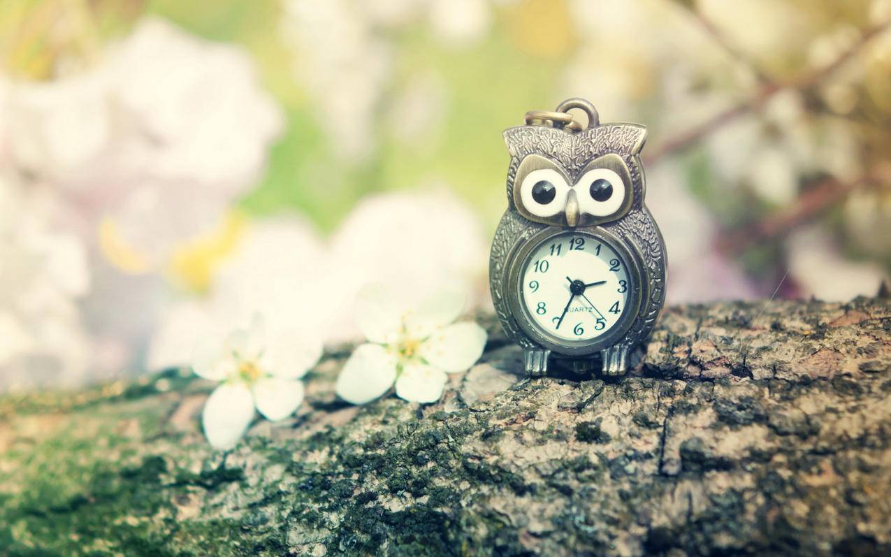 苹果手机丢了怎么用安卓手机找回 ， apple id密码忘了怎么办?  - 55dz账号网