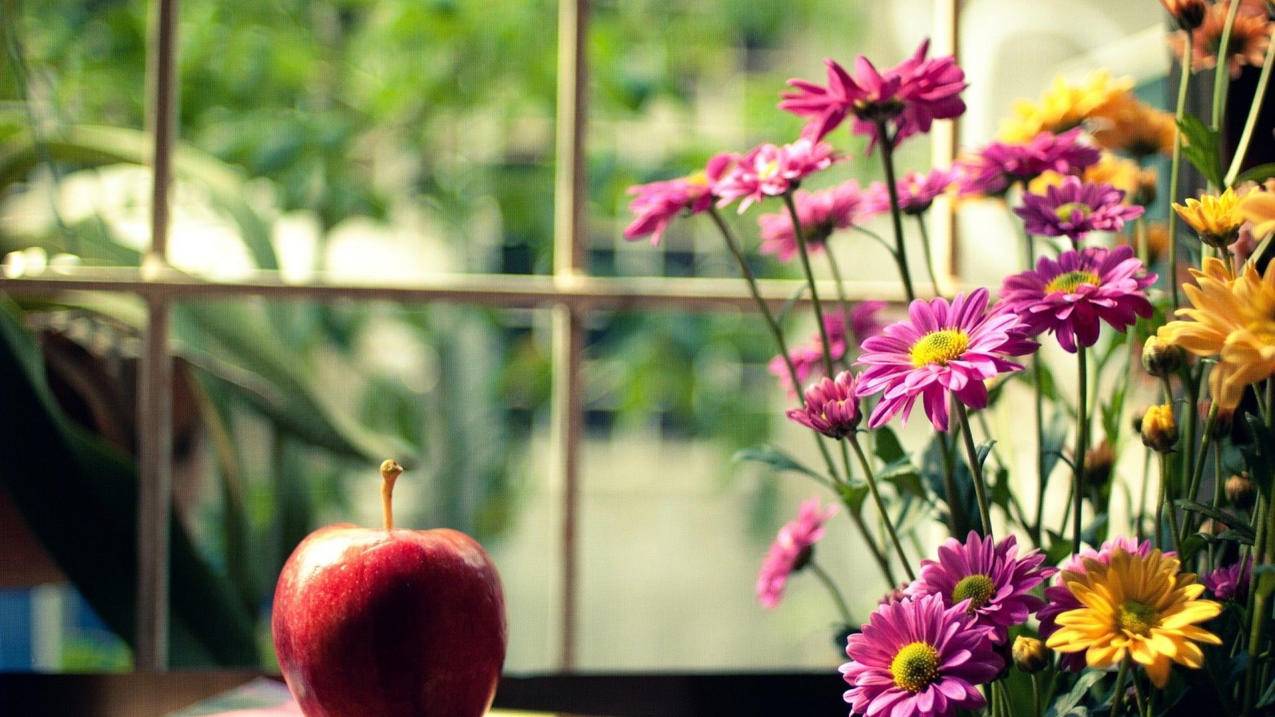 抖音平凡之路搜什么-dy业务网