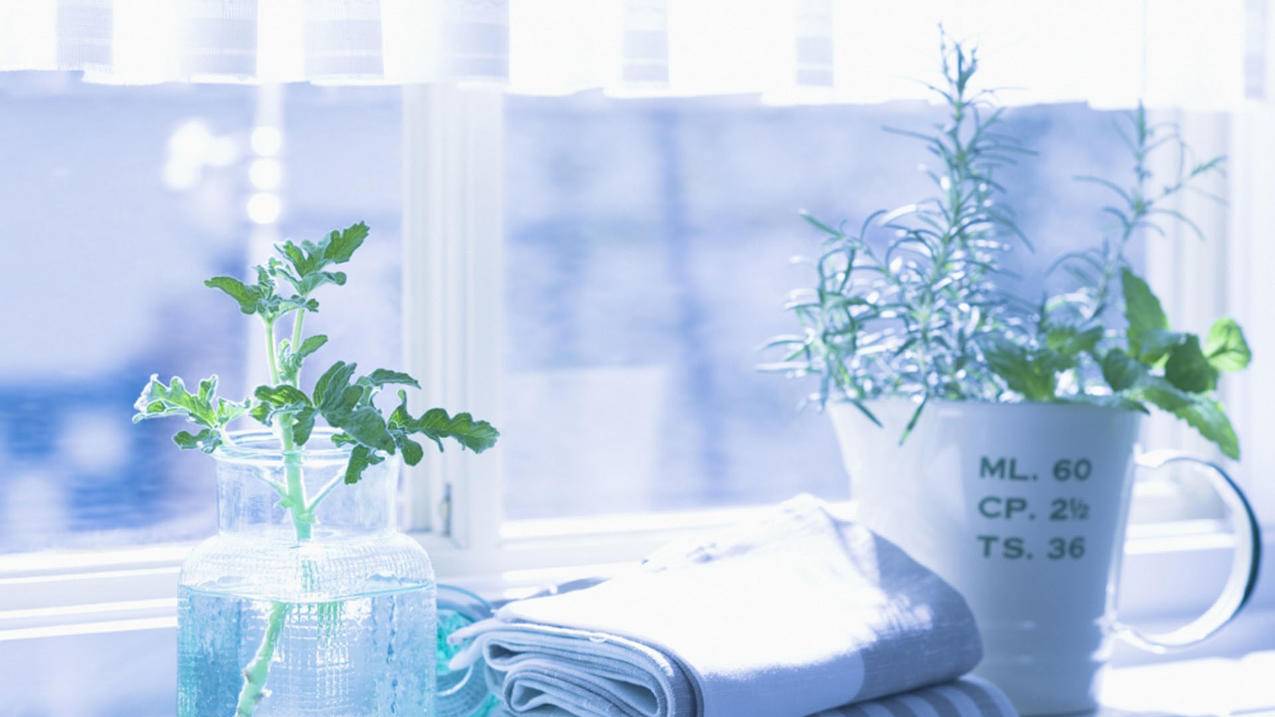 战网账号怎么改身份证  ( 战网如何改身份证 ) - 55dz账号网