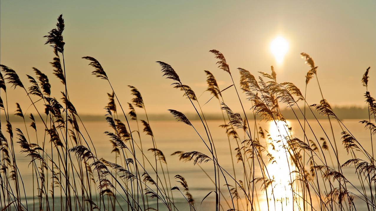 小红书如何寻找分销商合作？高效方法解析 - 网络资讯 - ks业务下单