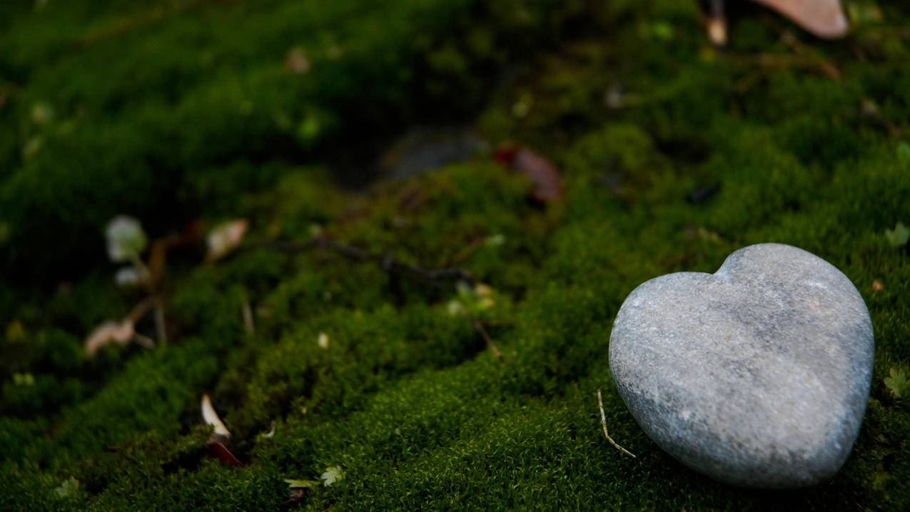 tiktok主页挂链接条件_tiktok可以链接哪些平台 - tiktok相关 - 55dz账号网