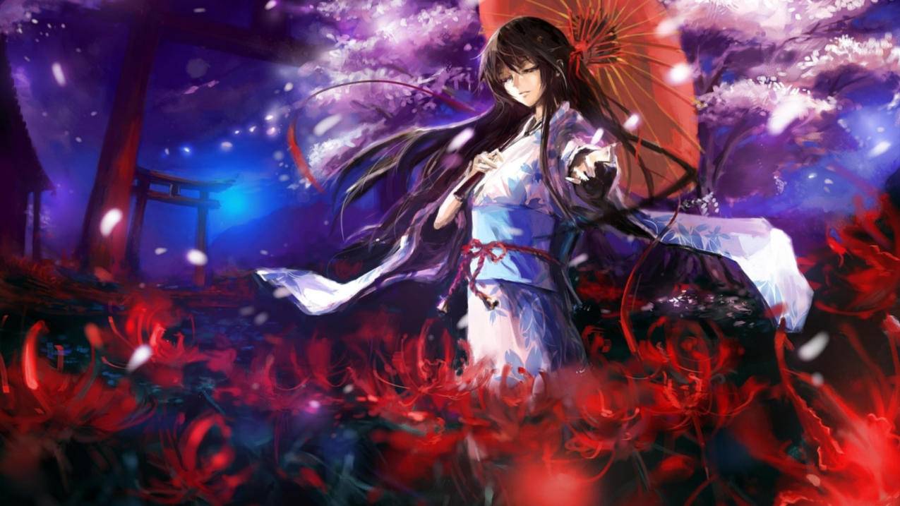 为什么一直登不上韩国苹果id_为什么一直登不上 - 韩国苹果id - 55dz账号网