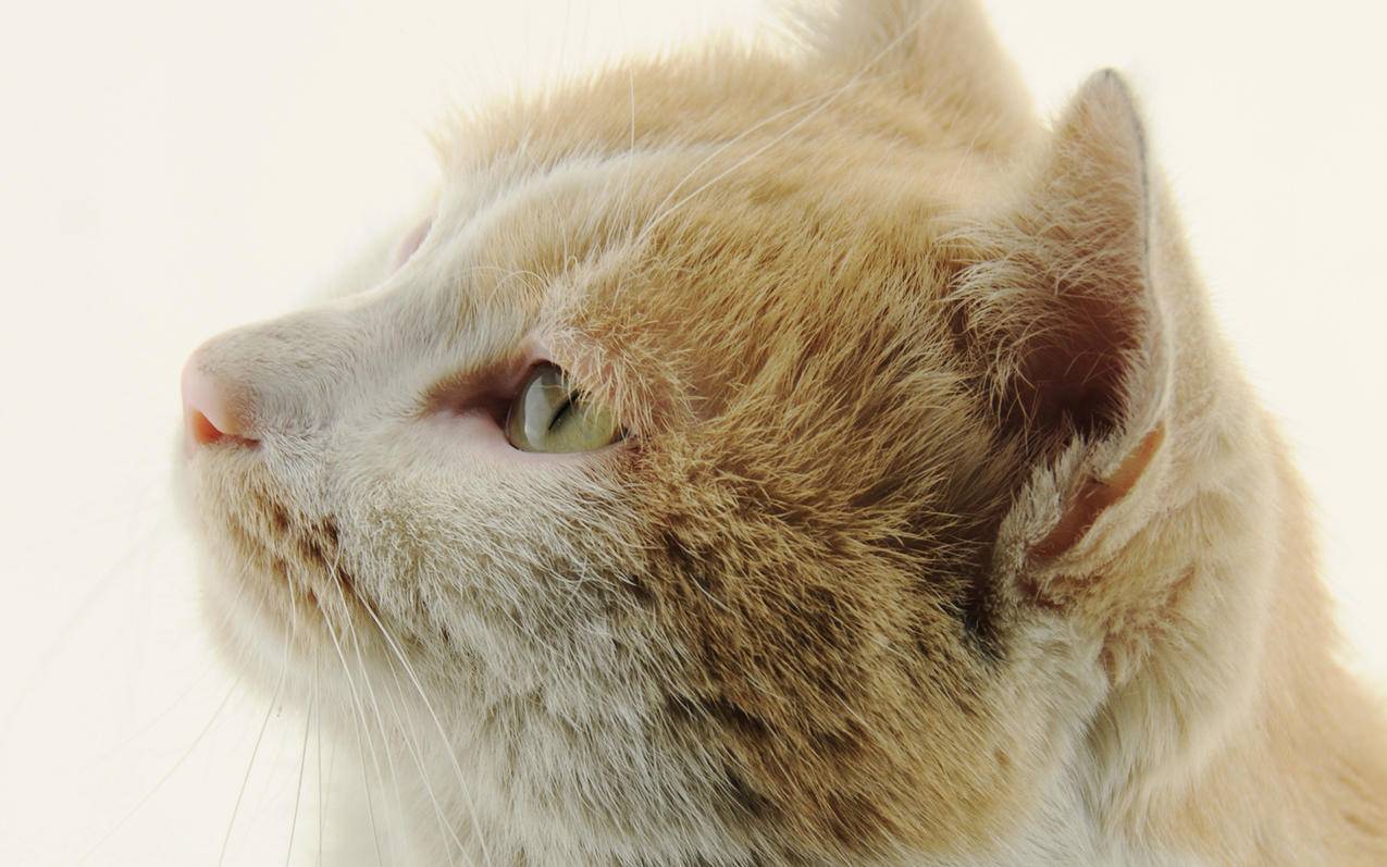 tiktok网络ip怎么改啊_tiktok环境要改路由器吗 - tiktok相关 - 55dz账号网